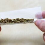 Cannabis Use Linked to Earlier Psychosis Onset