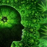 Why does weed cause anxiety? A new brain study investigates cannabis paranoia