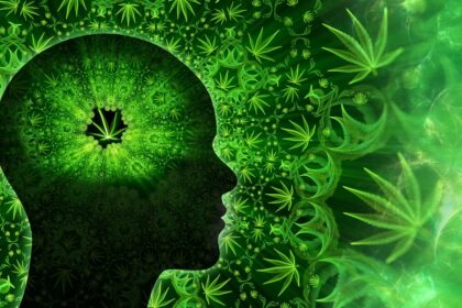 Why does weed cause anxiety? A new brain study investigates cannabis paranoia