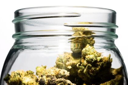 Can Cannabis Increase Stroke Risk? Here’s What Scientists Know.
