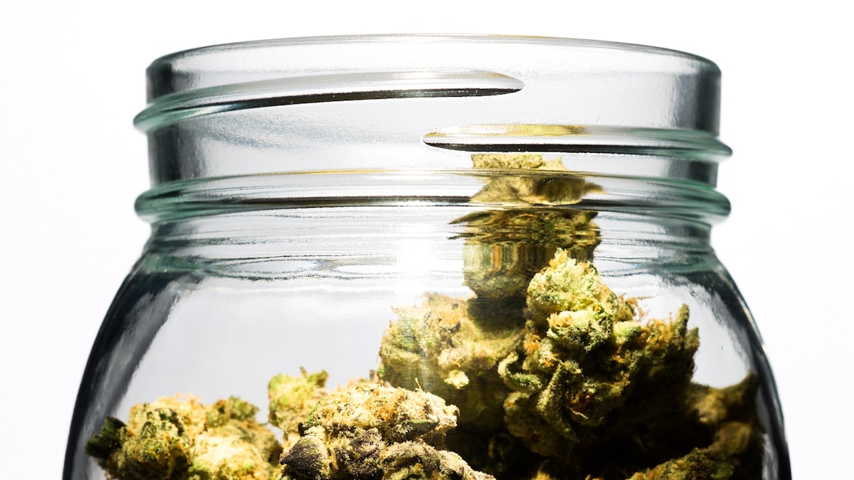 Can Cannabis Increase Stroke Risk? Here’s What Scientists Know.